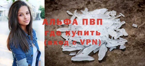 крисы Надым