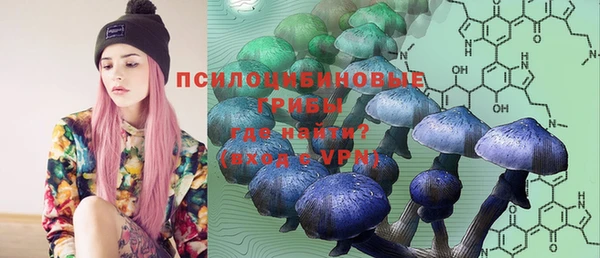 крисы Надым